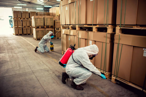 Best Pest Prevention Services  in Newport East, RI