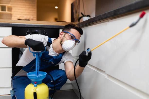 Best Pest Removal Services  in Newport East, RI