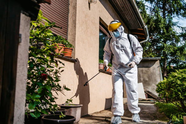 Best Flea Control Services  in Newport East, RI