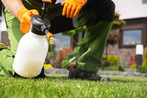 Best Pest Control Near Me  in Newport East, RI