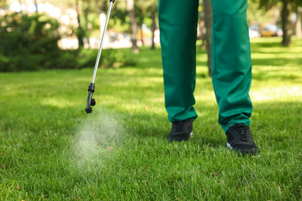 Wasp Removal Services in Newport East, RI
