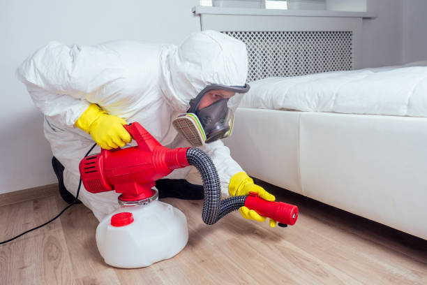 Best Pest Control Near Me  in Newport East, RI