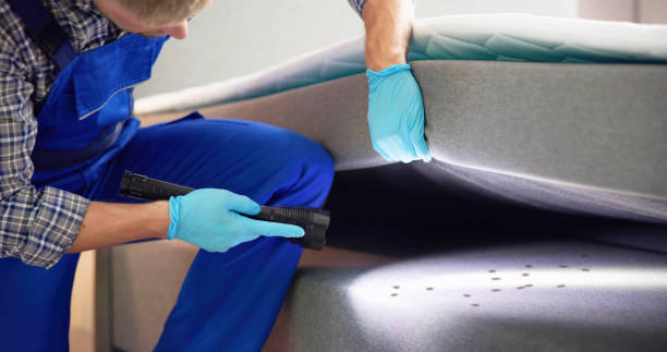 Best Mosquito Control Services  in Newport East, RI