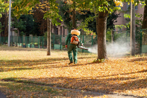 Best Ant Control Services  in Newport East, RI