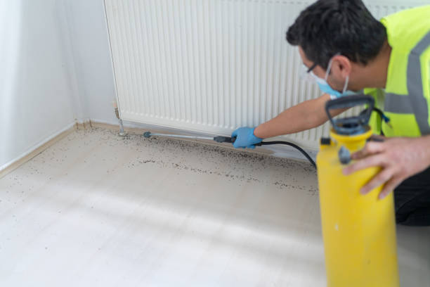 Best Bed Bug Extermination  in Newport East, RI